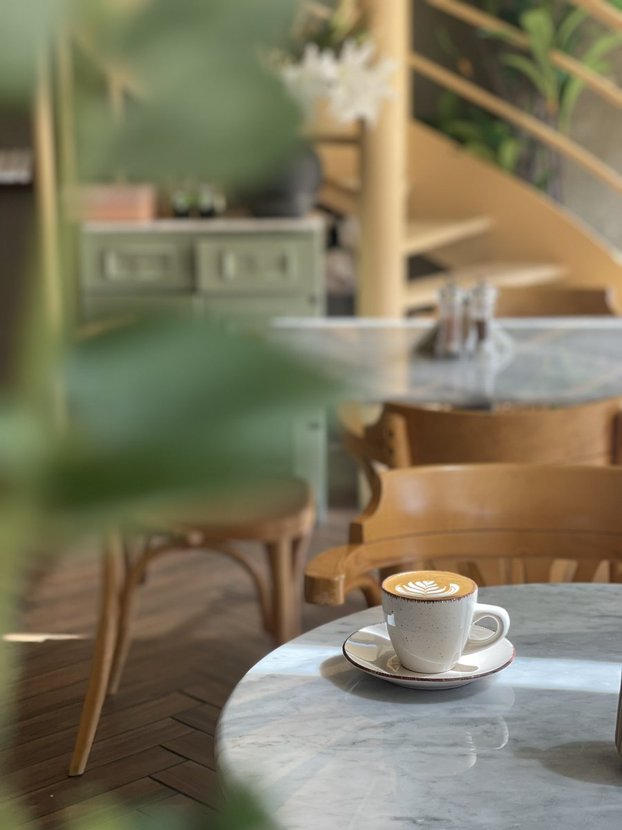 fatimhO2's tweet image. رُبما ذات يوم أنا و أنت و كُوب قهوة.“ ☕️🕊