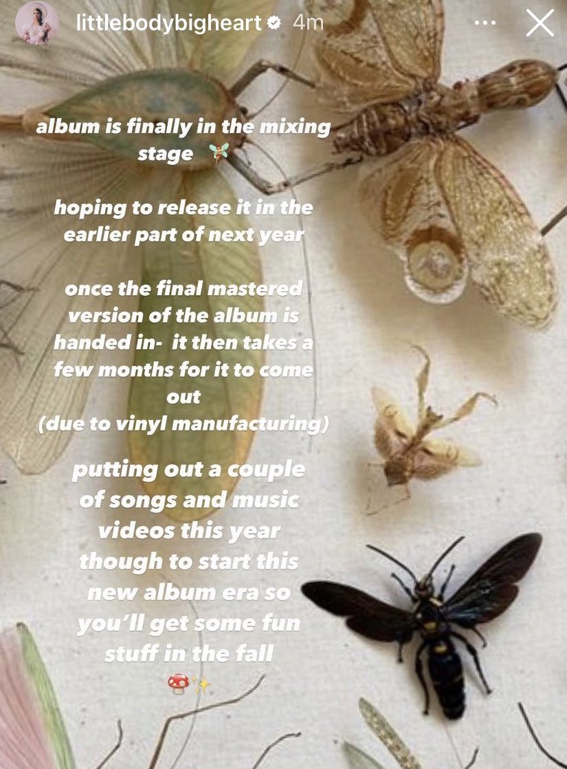 Melanie Martinez is finally coming everybody MOVE