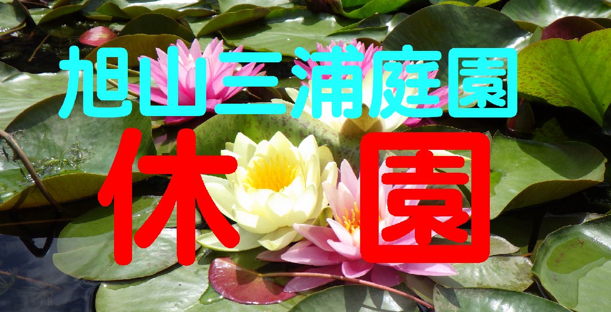 旭川市緑のセンター Kaguraoka Park Twitter