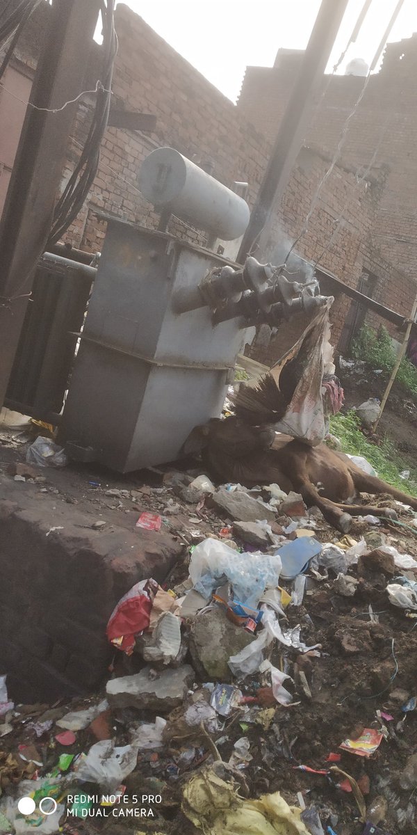 आखिर गांव की हालत कब सुधरेगी कई गाय मार चुकी है ये आज की तस्वीर गाय मार गई  जनता कैसे जी रही है किसी को सुध नहीं है 
कोइरौना ज्ञानपुर भदोही यू पी
<a href="/DM_Bhadohi/">District Magistrate Bhadohi</a> <a href="/PiyushGoyal/">Piyush Goyal</a> 
<a href="/PuVVNLHQ/">Purvanchal Vidyut Vitaran Nigam Limited</a> 
<a href="/myogiadityanath/">Yogi Adityanath</a> 
<a href="/ptshrikant/">Shrikant Sharma</a> 
<a href="/JagranNews/">Dainik Jagran</a> <a href="/PMOIndia/">PMO India</a>