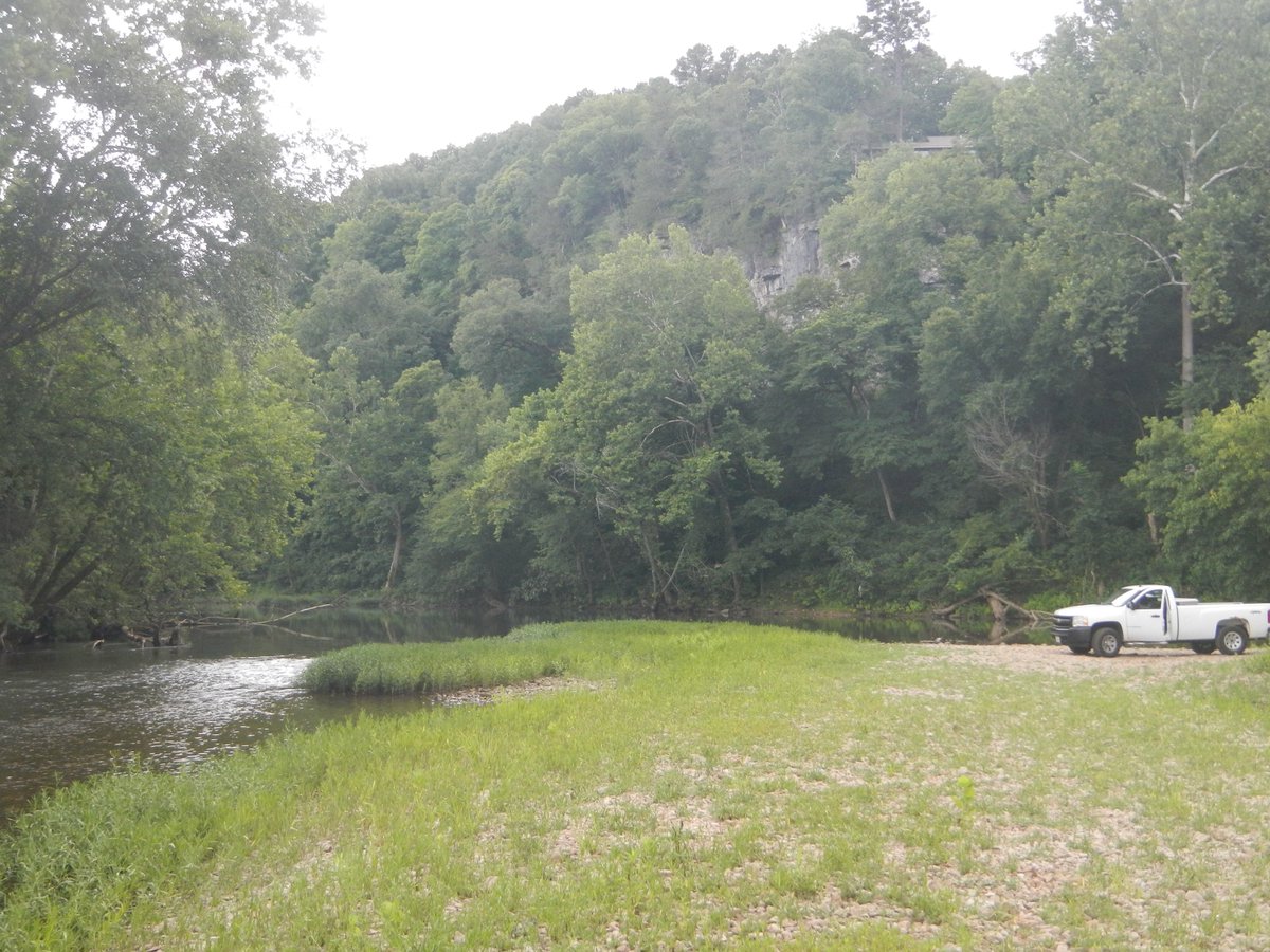Jaxen99's tweet photo. Made a trip down to @marktwain_nf and found this beautiful spot to swim. Need a 4wd or canoe to get there, but truly stunning! @SkagitSalmon @bushcamp2 @blueshockeygrl @pipapipia #pineyriver #paddycreek https://t.co/ypG9KQRT1g
