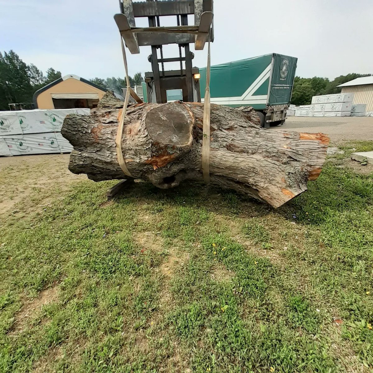 CCW_1997's tweet photo. Big Maple dropped off by Kravitz Tree Service LLC to be sawed, looking forward to it. #bigwood #bigmaple #mapleslab #wood #liveedge #maple #liveedgeslab #maplewood #hardwoods #amazingwood #rarewood #figuredwood #mapleburl #woodworking #customwoodwork #rivertable #walnutslab https://t.co/laIy3OQgGr