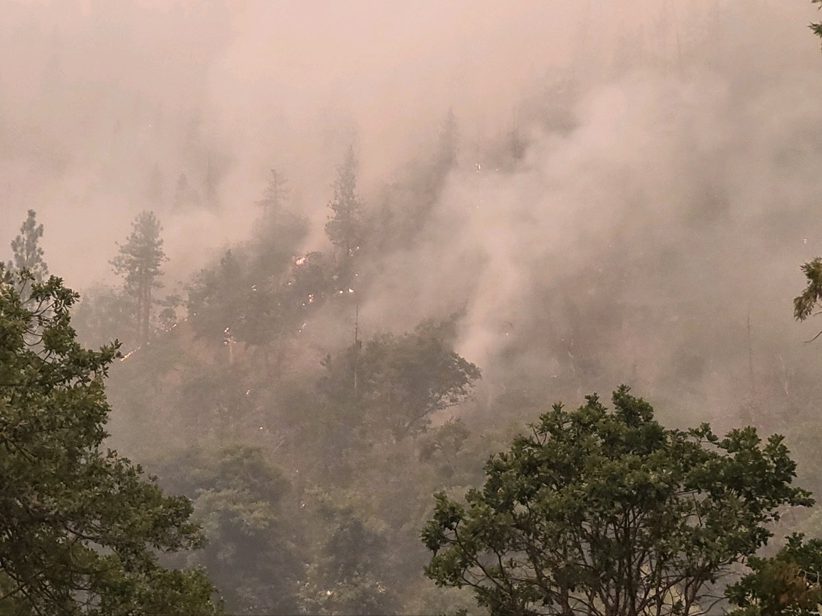 SiskiyouSheriff's tweet photo. @Klamath_NF UPDATE >> The #KelseyFire has increased to an estimated 75 acres. @CALFIRESKU is assisting with this incident. 
🚨ALL Evacuation Orders remain in place🚨
The fire is just south of Kelsey Trailhead. It is a new fire on the southwest end of the #McKinneyFire. https://t.co/Ze9yhefdJq