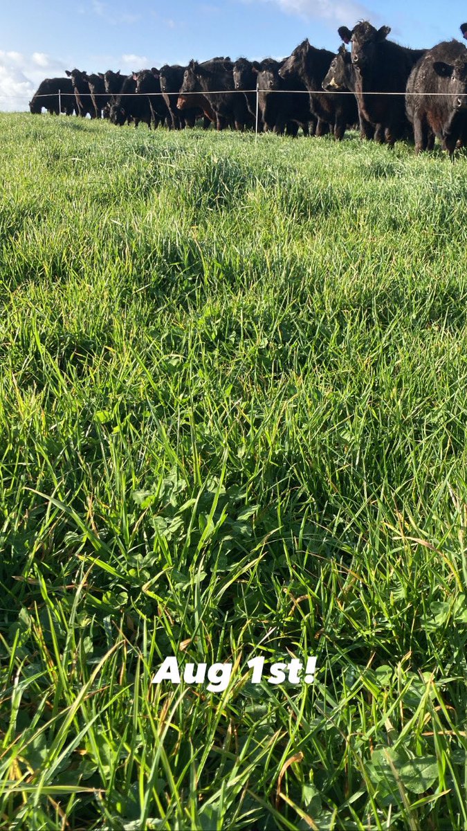 Iain Bruce tweet media