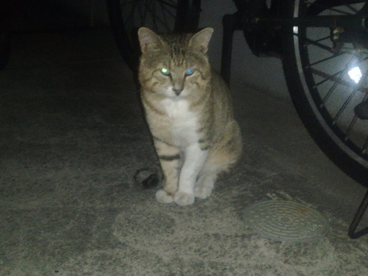 いよいよ今週末開催です、4バンド活動30年の集大成。宜しくお願いします。
8/6(土)
30th Anniversary GIG 1992-2022
新大久保EARTHDOM
Open 17:15 Start 17:45 
Adv ¥2,500円+1 drink

TERROR SQUAD
LITTLE BASTARDS
INTESTINE BAALISM  
ABIGAIL 

Tickets reservation  tiget.net/events/181245