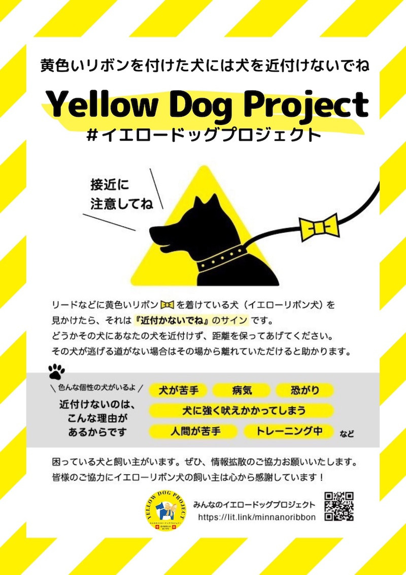 LOVELOVERKM's tweet photo. 🐾Yellow Dog Project🐾
📌困っている犬と飼い主が
　います
🐶接近に注意してね
　Be careful when upproaching

#YellowDogProject
#イエロードックプロジェクト

https://t.co/3Bpca7a2KQ https://t.co/UlGVFQtMCV