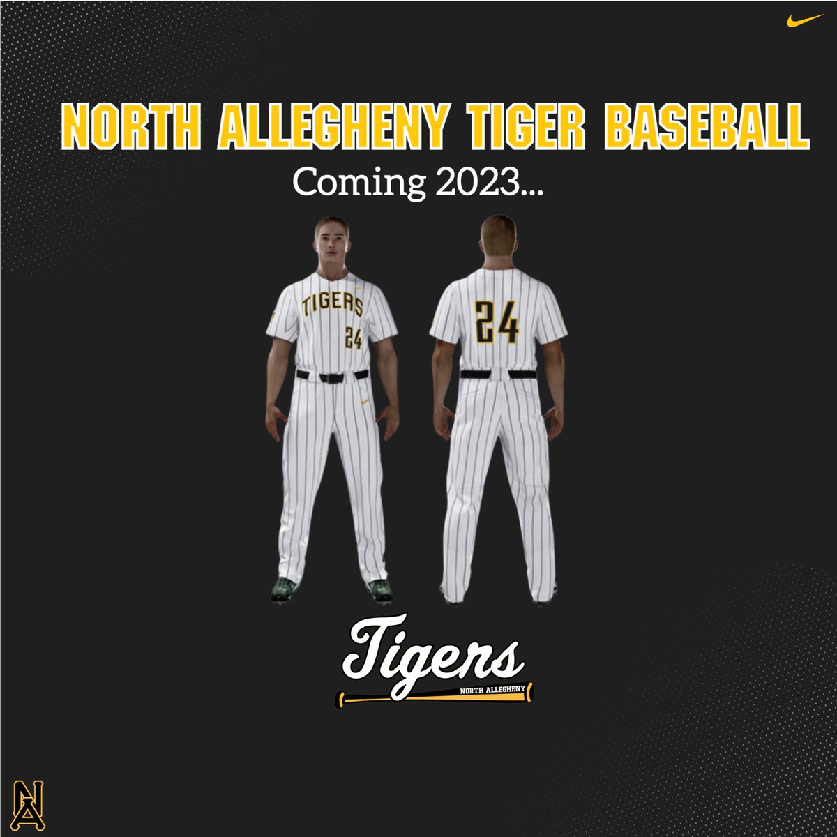 North Allegheny Baseball tweet media