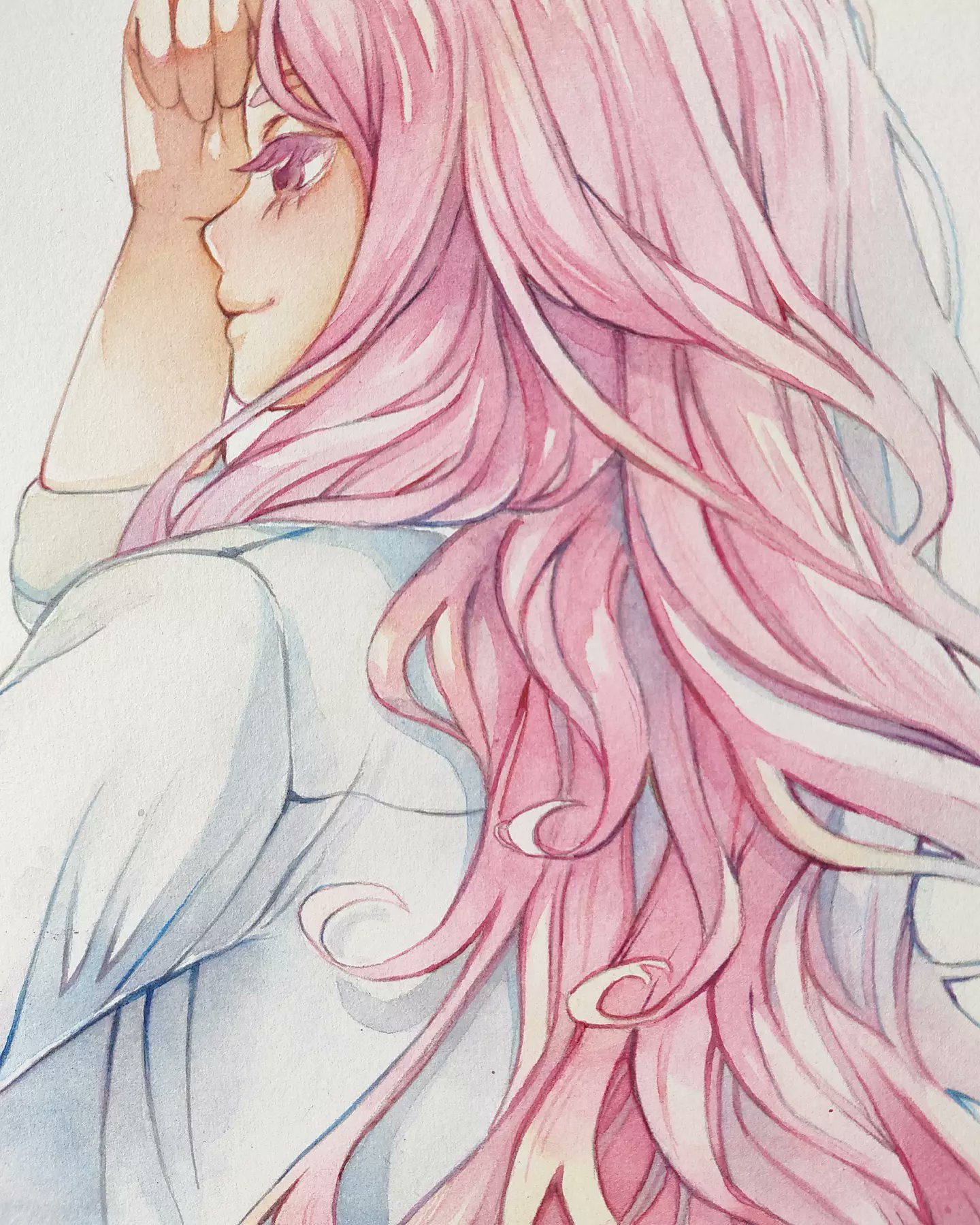 日々蝶々 Twitter Search Twitter