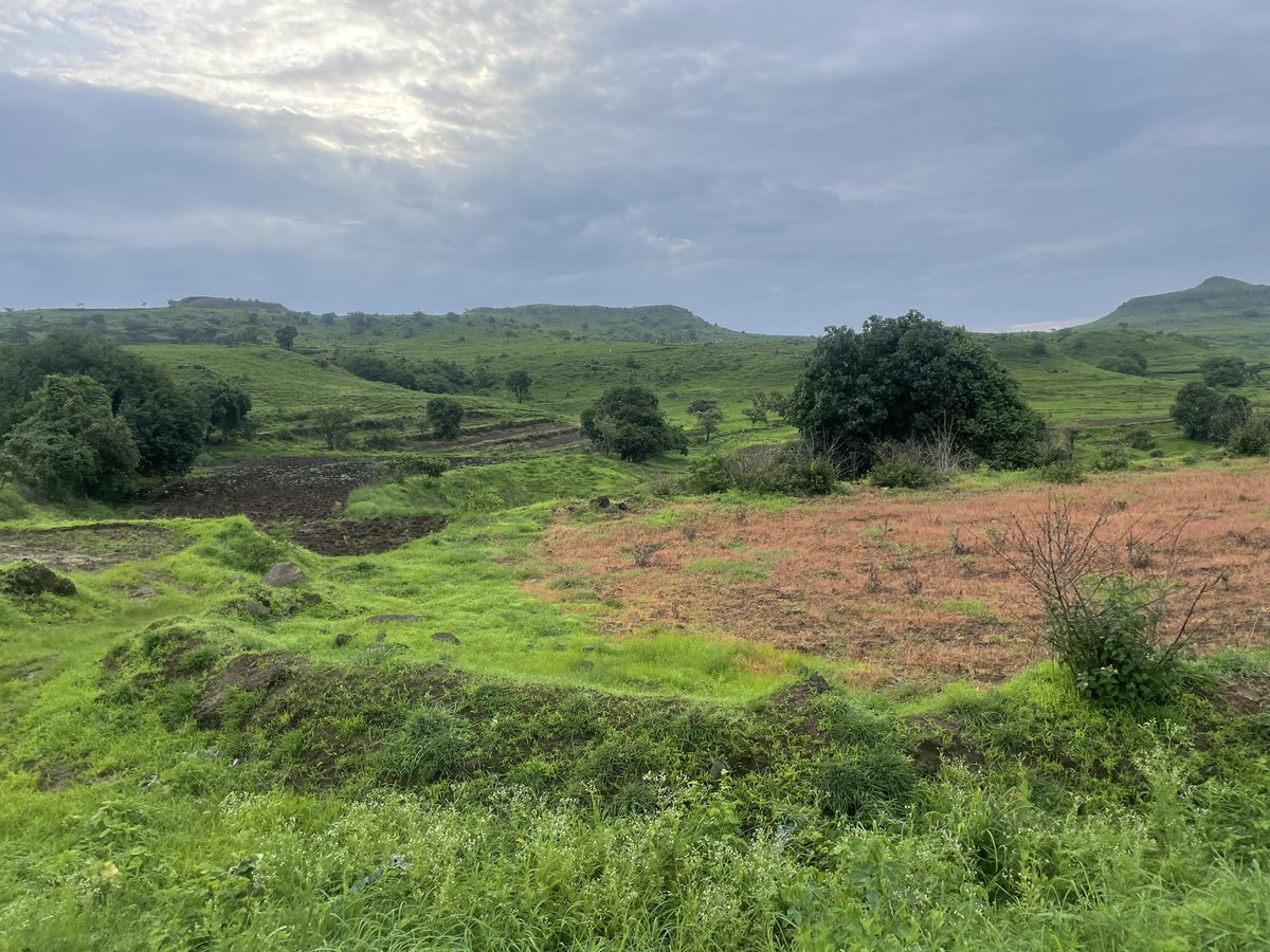 Ashutosh084B's tweet photo. 15 weeks to the half marathon event another productive weel with hill runs, speed workout, long runs and easy runs #weekendlifestyle https://t.co/gWxVbnTwad