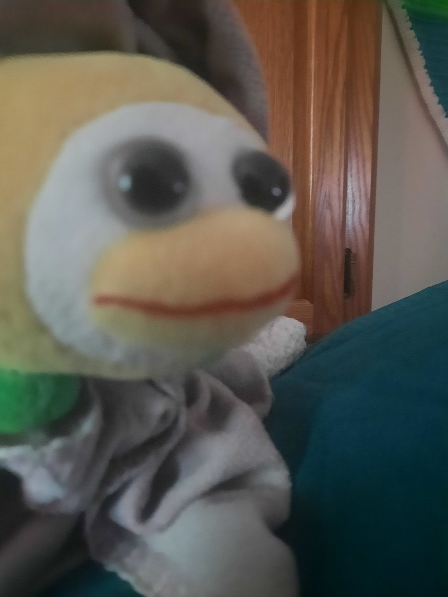 silver_peepy's tweet photo. Oscar https://t.co/KwReXvTnpj