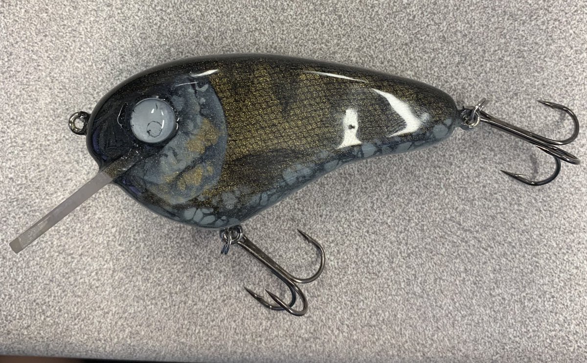 A bonus second #SundayFishSketch .

This #walleye went to <a href="/OlivenciaKyle/">Kyle Olivencia</a> for successfully defending his thesis on smallmouth-walleye tropic interactions. He is heading off to Florida in a couple weeks for his new biologist position!