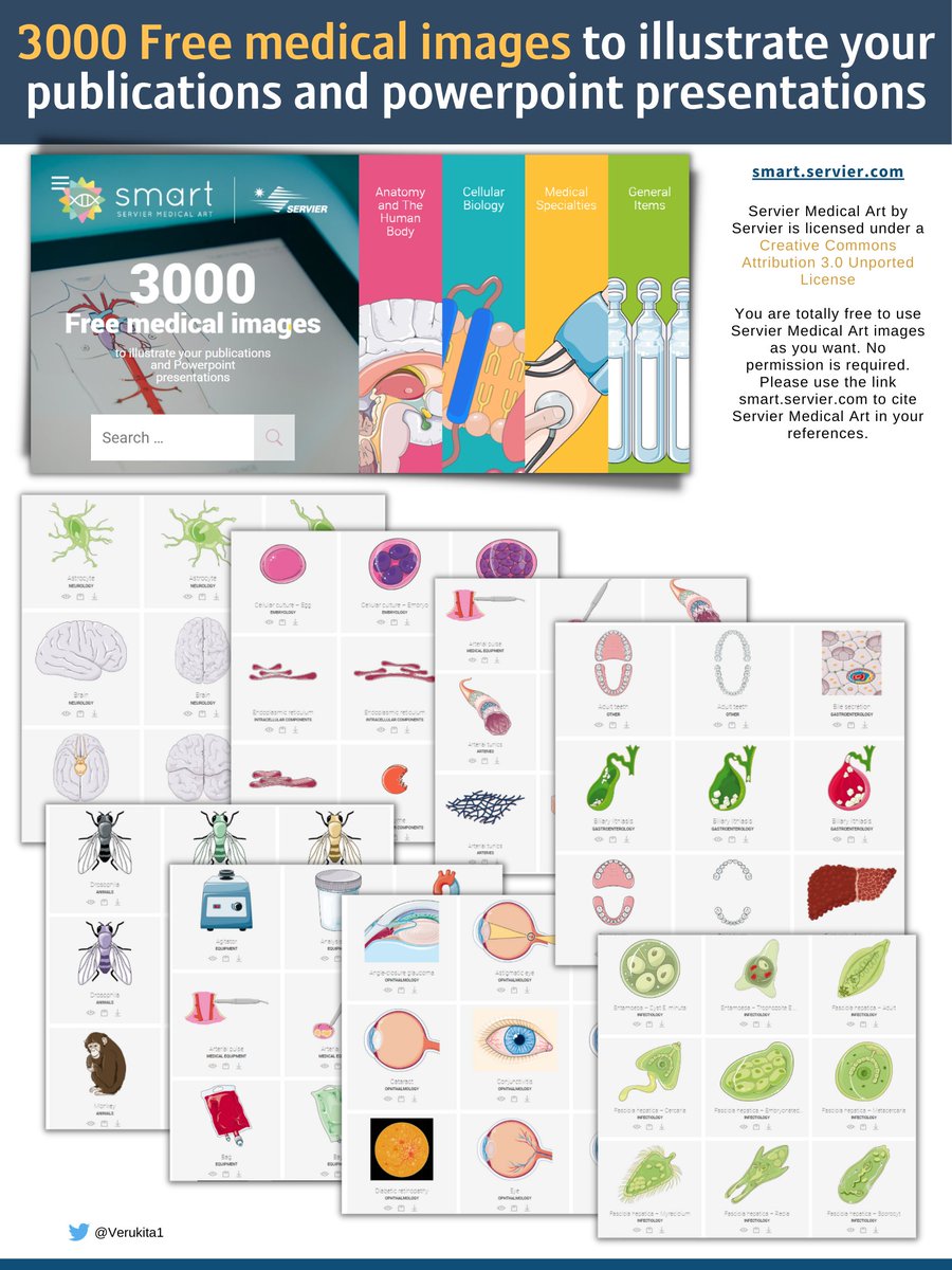 Verukita1's tweet photo. 3000 Free medical images to illustrate your publications and powerpoint presentations!  
➡ https://t.co/28MrrsHLpQ

#AcademicTwitter #PhD  #Bioinformatics #datascience  #Biology #neuroscience  #phdchat #postdoc  #methodology #Journals #OpenAccess #science  #phdlife #research https://t.co/XedYxfY1OA
