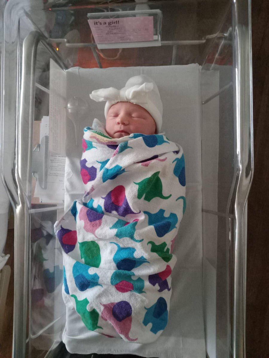 MittAubin's tweet photo. My good news today was that my very good friend, Rachael, who is like a daughter to me, had her baby! I can’t wait to meet this precious little girl. #workdaughter https://t.co/rfrPd0wdtQ