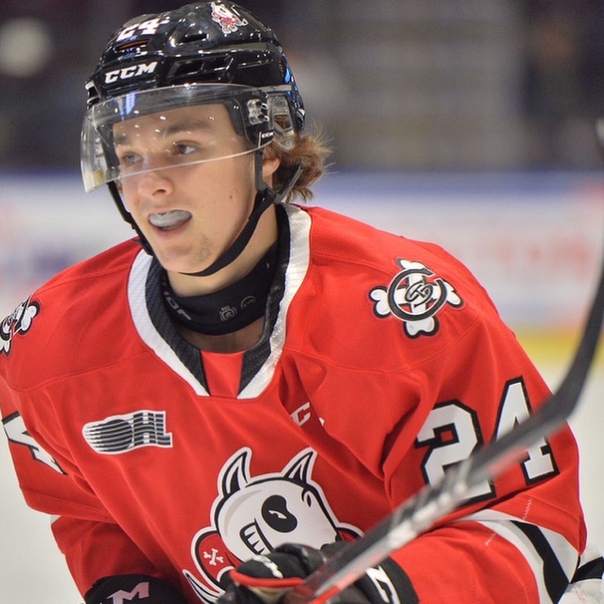 AthletesFuel's tweet photo. 2022 ATHLETES FUEL CUP
Roster - Team Brodie ⚫️🔴

TJ Brodie - 12 year NHLer @MapleLeafs @NHLFlames, 2018 Athletes Fuel Cup Tournament MVP, defending and 2x Athletes Fuel Cup champion
@DeclanWaddick - @OHLIceDogs 
@ryangagner1 - @PetesOHLhockey https://t.co/ND6q3jiPuc