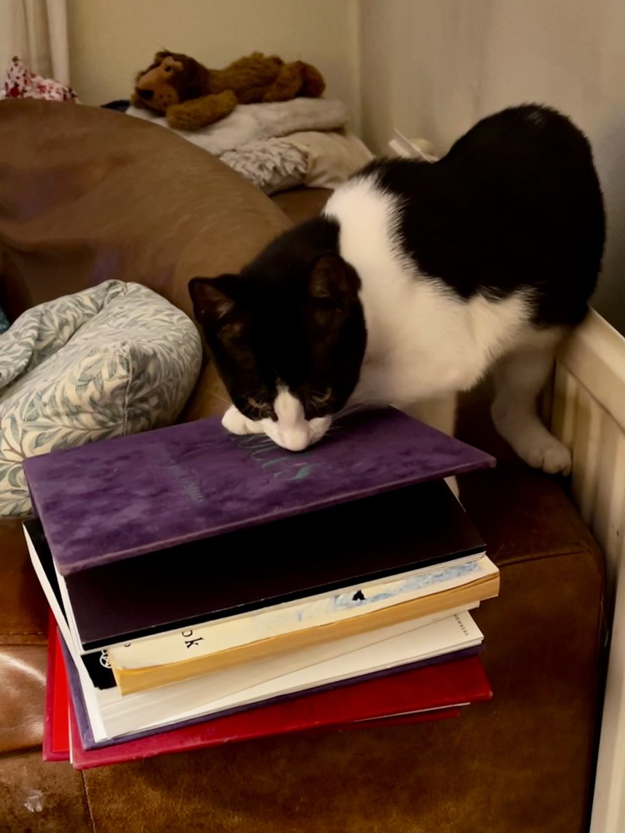 K8JohnsonAuthor's tweet image. Obviously I am not a witch. What, this? This is just Tomkin and my spell books. That doesn’t mean anything at all. Haha. #NotAWitch