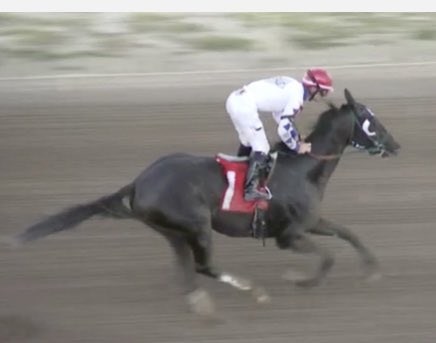 Wooohooo!
 <a href="/lanejohnston32/">Lane Johnston</a> <a href="/albirzer/">Alex Birzer</a> <a href="/GustafsonRacing/">Austin Gustafson</a> <a href="/prmracing/">Prairie Meadows</a>