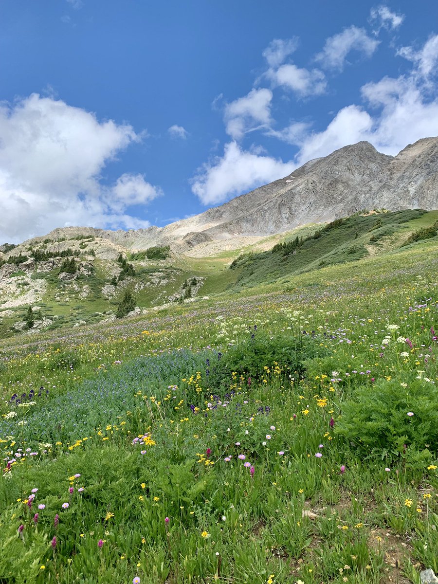 stephaniebutzer's tweet photo. #FourPassLoop is always beautiful and beastly, and sharing it with family over the past few days was simply a dream come true.
This was an adventure two years in the making, but the memories will last a lifetime. β€οΈπβ° #Aspen #backpacking https://t.co/cQ22Fii5Rx