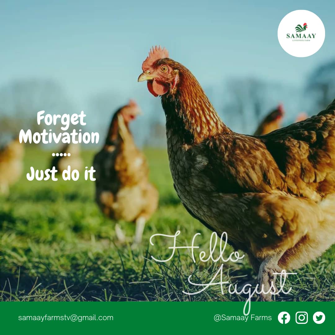 Do it without motivation and guess what, After you start doing the thing that is when the motivation comes and makes it easy for you to keep doing it.

Forget Motivation
   ••••••••
Just do it

Happy New Month
#August #Agribusiness #Action #SDGsadvocate #Eaglesfly