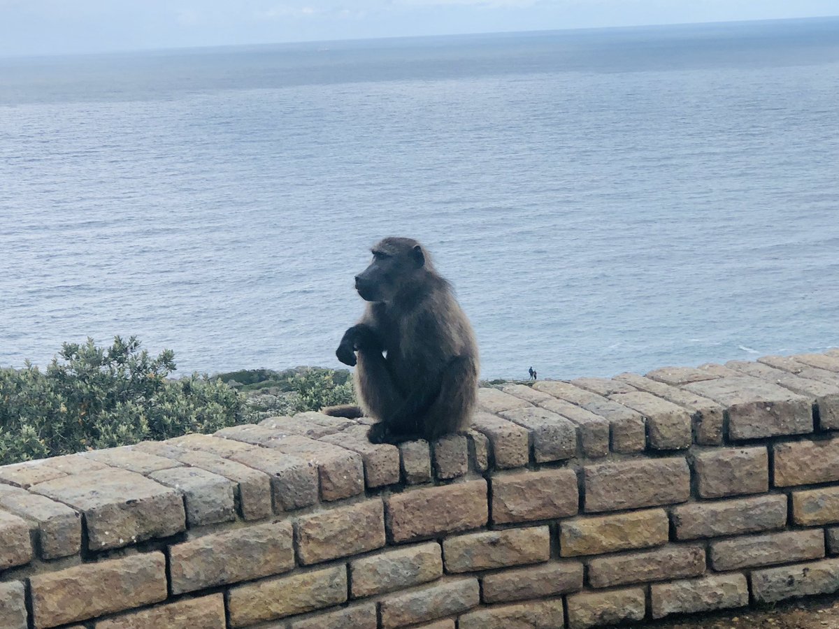 Cynthia_Tchio's tweet photo. I love being a scientist but sometime it can be taxing. Some of the things that I love to do to unwind is by spending time with my family, travel, and I absolutely love being outdoor #BINW22 #BlackJoyInNeuro https://t.co/glSFpYBLPb