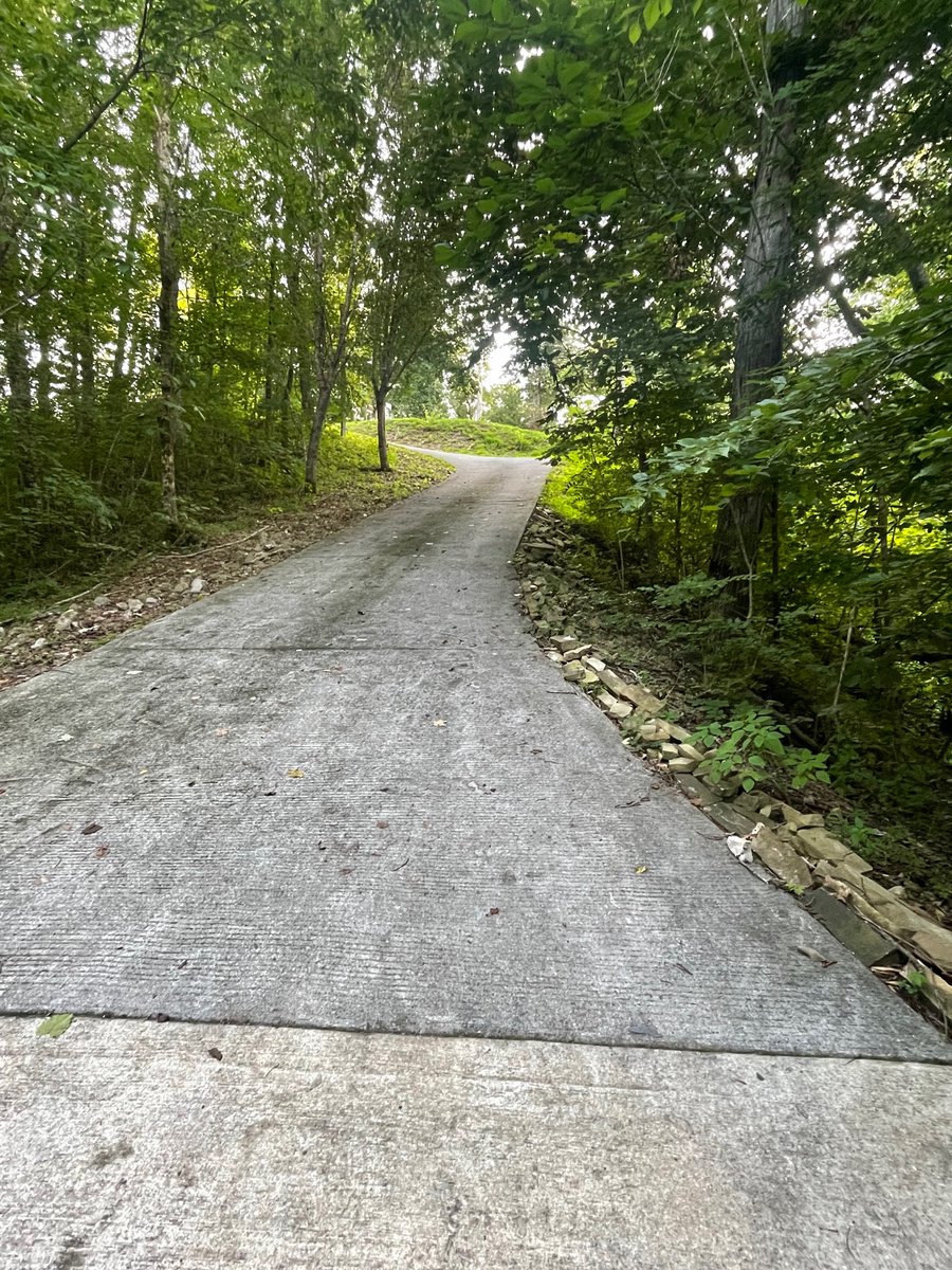 Timothy P. O'Malley tweet media