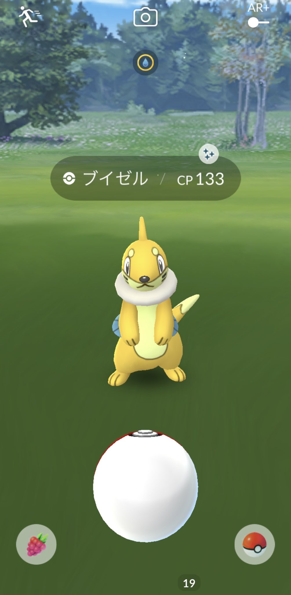 とゆさん ブイゼルの色違いでた ポケモンgo Pokemongo T Co Ea0pjbwmbb Twitter