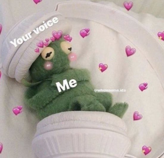 froggo memes (@kinkyfrogmemes) on Twitter photo 