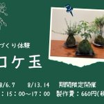 茨城県 袋田温泉 思い出浪漫館のツイート画像