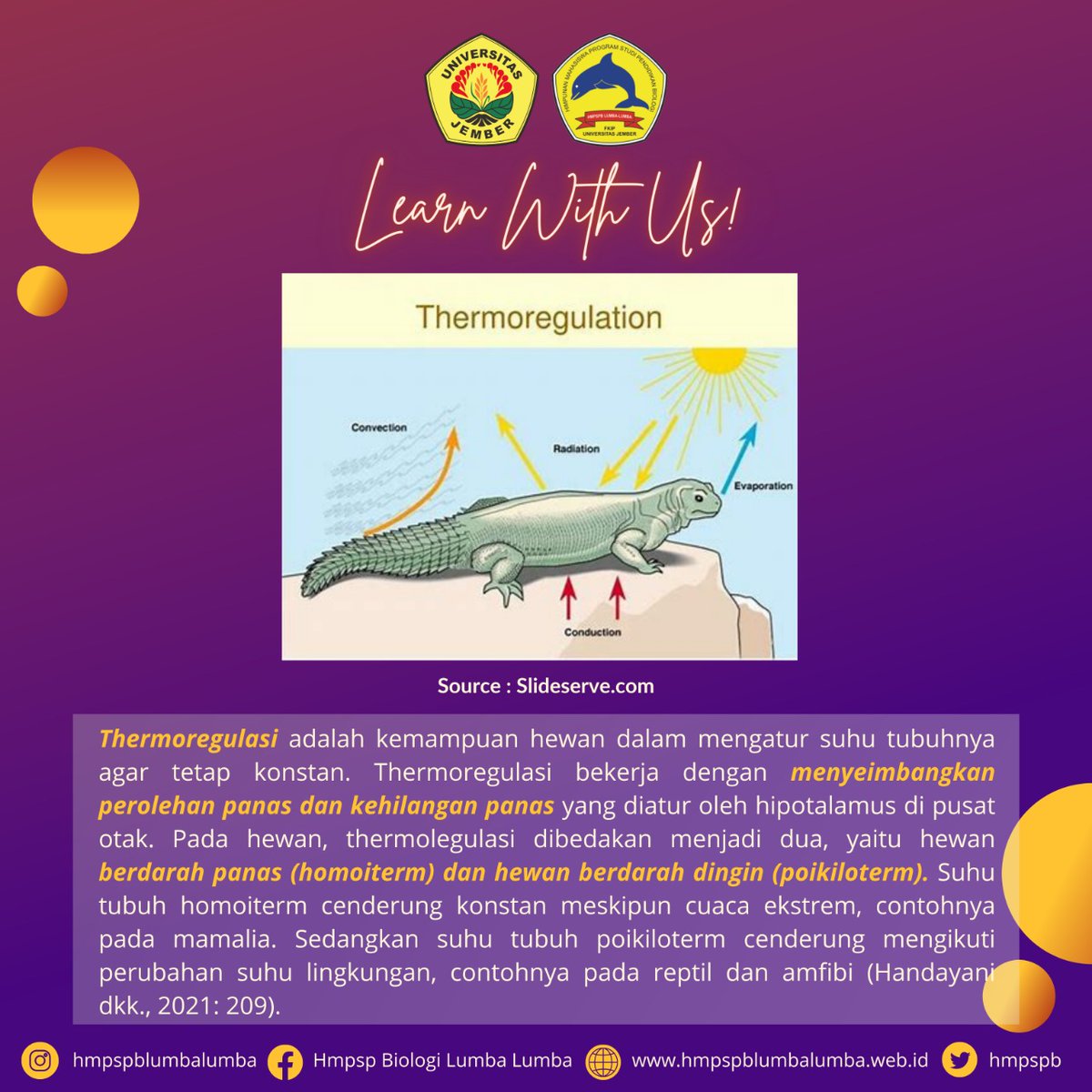 hmpspb's tweet photo. Judul buku: Buku Fisiologi Hewan
Penulis: Handayani, dkk
Penerbit: Widina
Tahun terbit: 2021
#pustakaonline #kutipanbuku #Juli https://t.co/VkfipzACe8