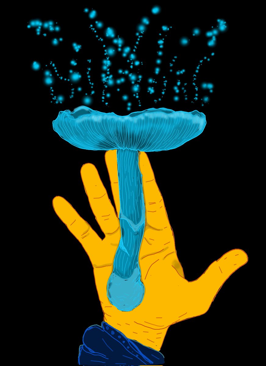 Melinalioi's tweet photo. #psilocybe #fungi #mundifungi #ilustraciondigital https://t.co/0p40GR1g88