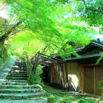 ツイートに含まれる画像