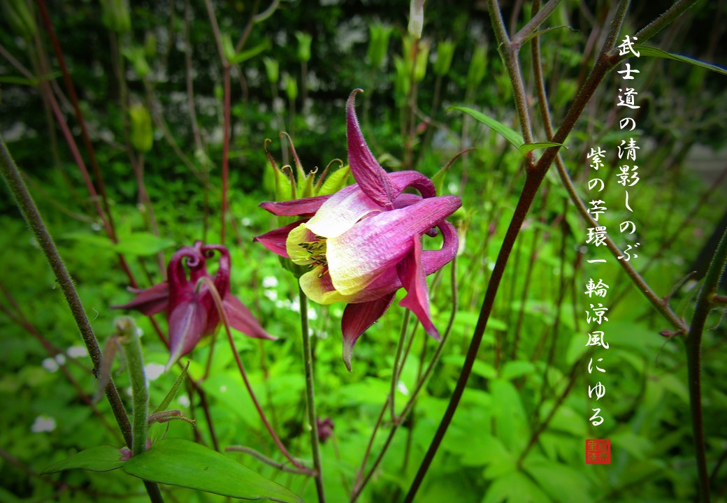 Follow Tankathursday Prompts S Tankathursday Latest Tweets Twitter