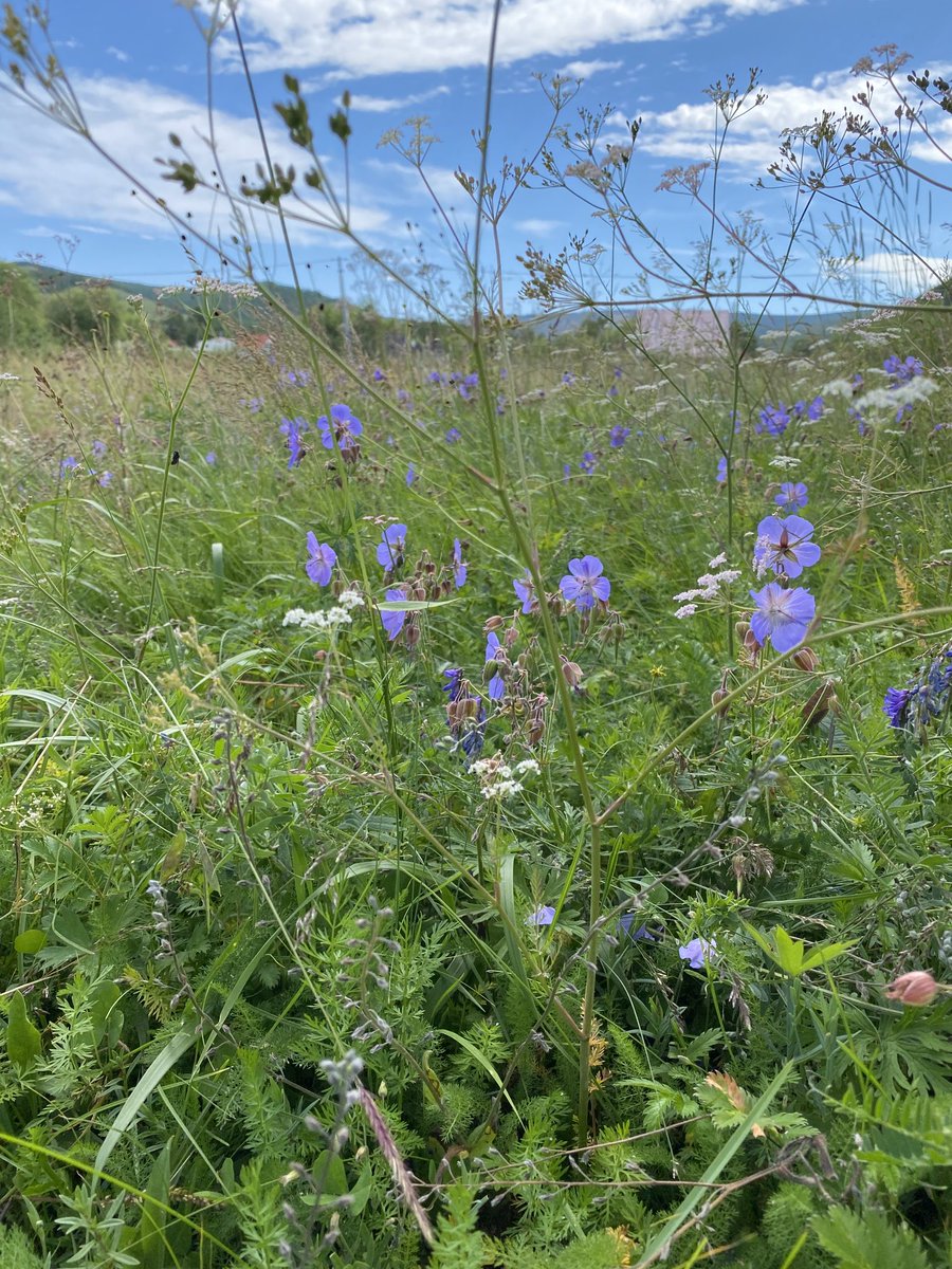 Даваа гаригийн мэнд ☀️🙋‍♂️☕️
