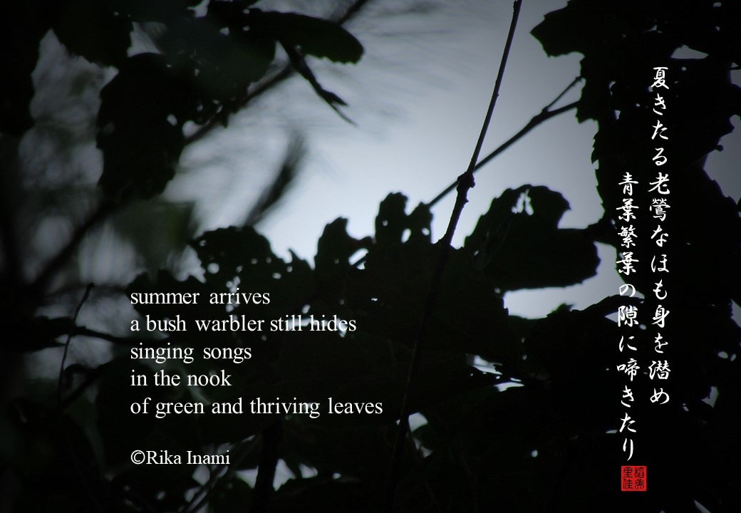 Tankaart Twitter Search Twitter