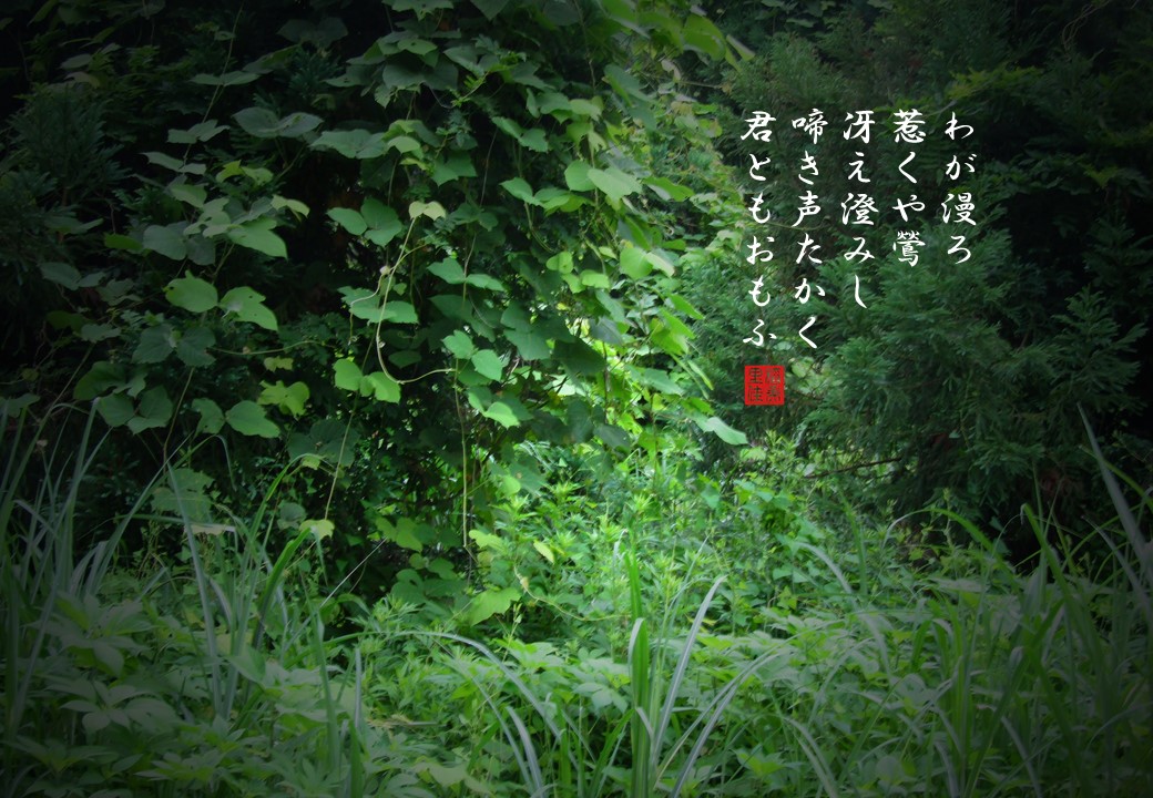 Tankaart Twitter Search Twitter