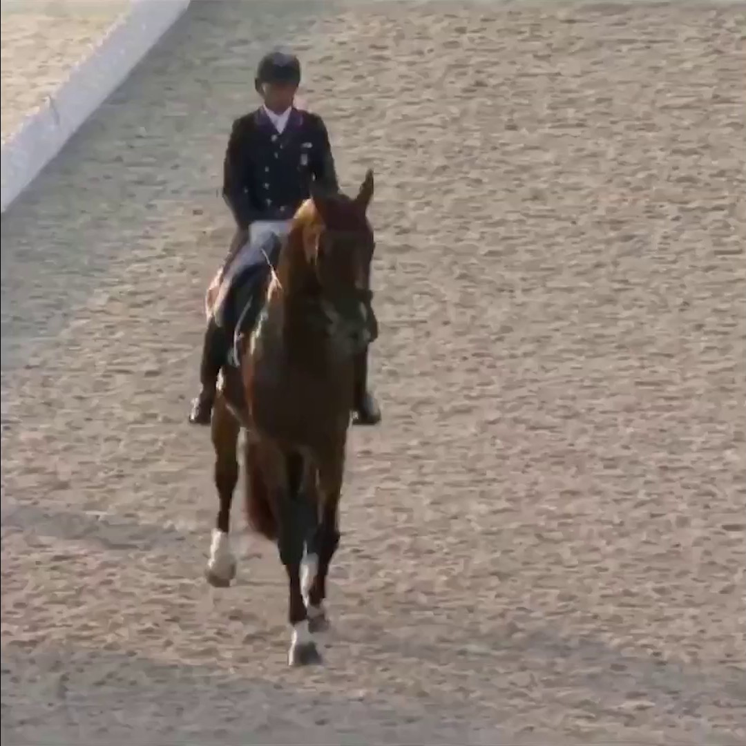 NBC Olympics on Twitter "One year ago today, Mopsie aka "Rave Horse