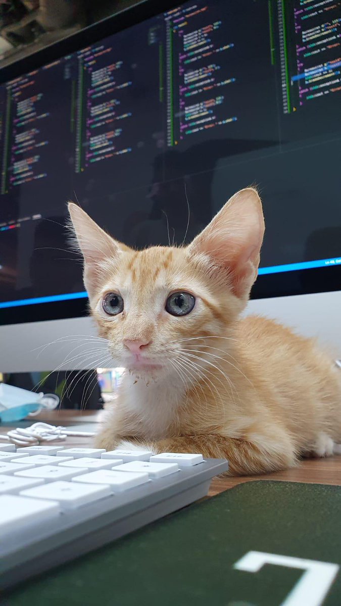 jaanit_'s tweet photo. in love 💞 https://t.co/W2eCBSPaqL
