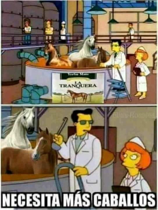 notafaso's tweet image. 