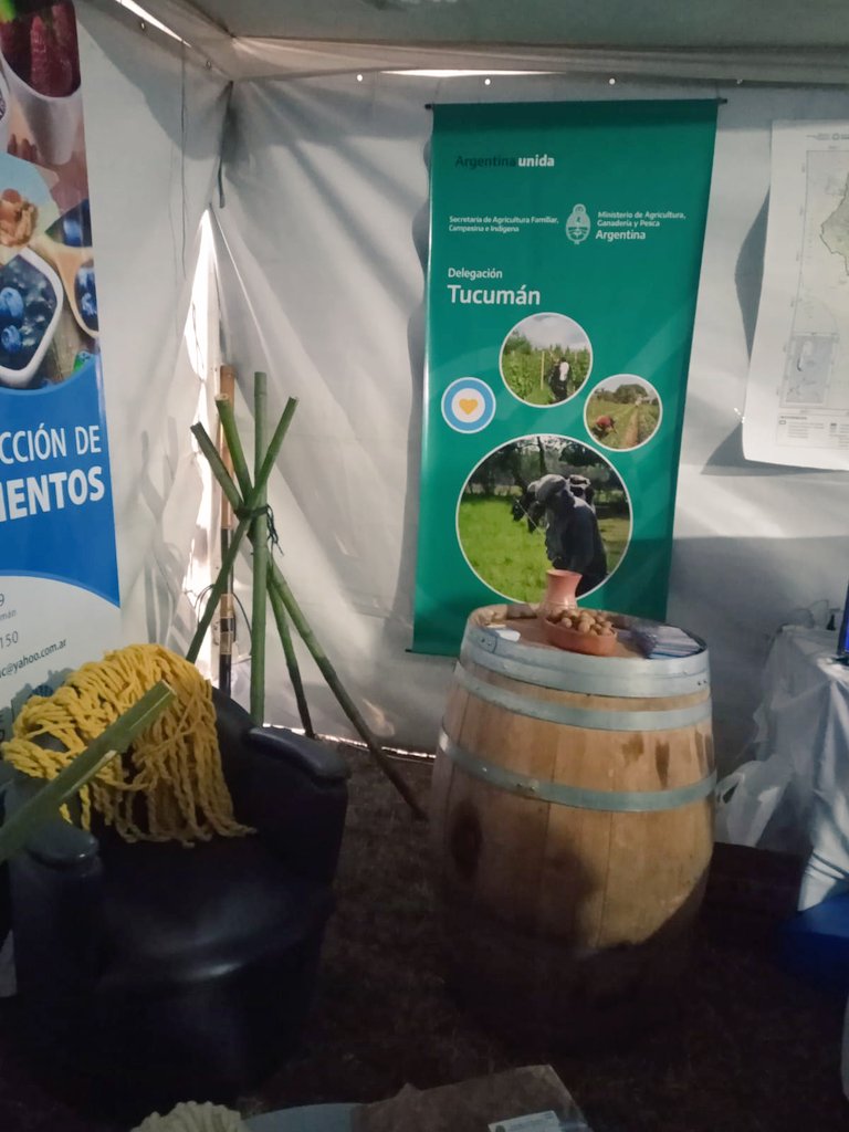 JorratJuan's tweet photo. 6° Edicion de la Expo Interior, desde la @AgrFamTuc estuvimos presentes con un espacio institucional que nos brindó  @producciontuc  con quienes trabajamos de forma conjunta día a día en territorio @JuanFBlasco1 

#agriculturafamiliar #ExpoInterior https://t.co/Xsj3RHfbZi