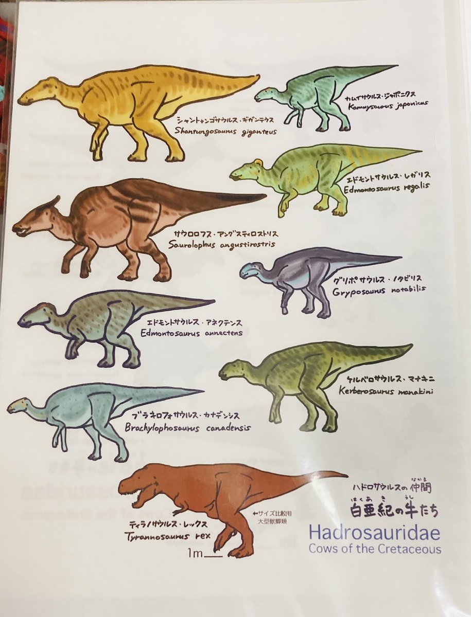 #古生物創作合同展示会 
戦利品その② 