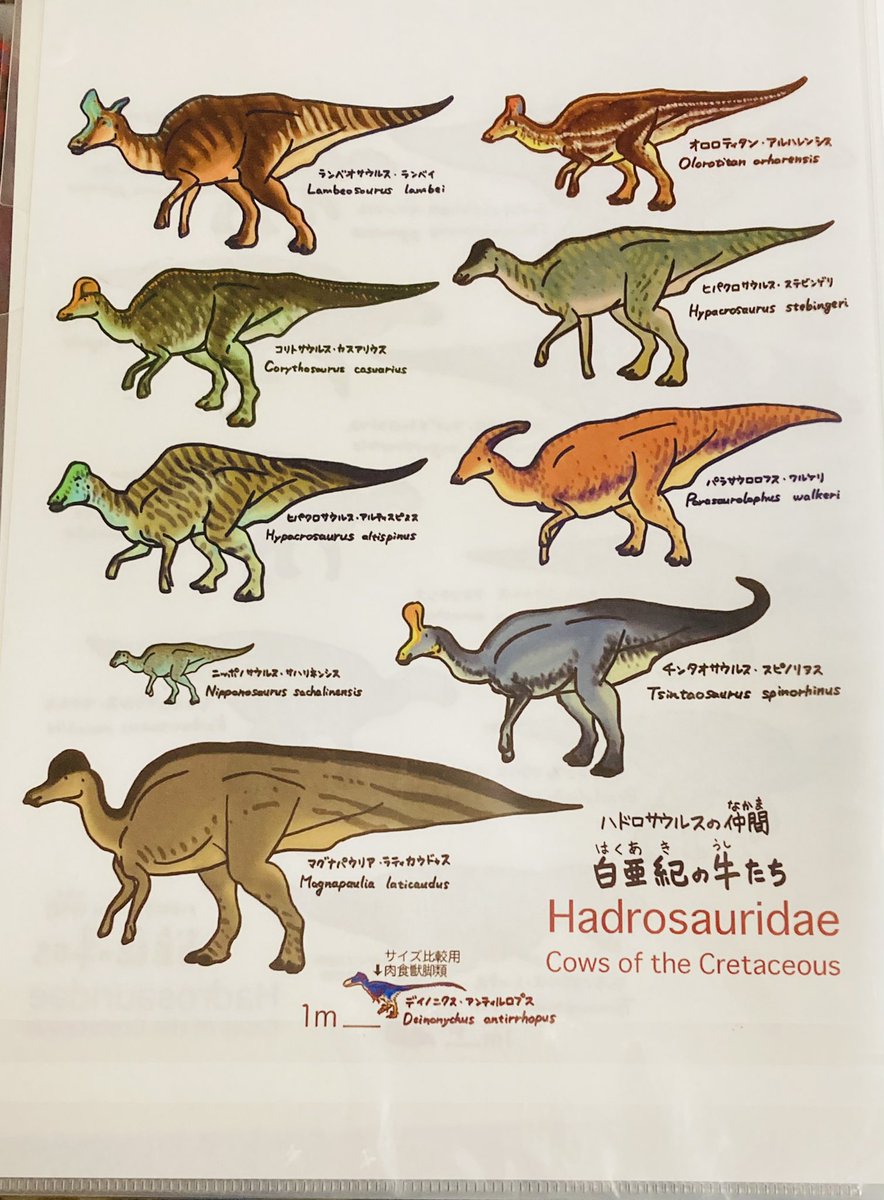 #古生物創作合同展示会 
戦利品その② 