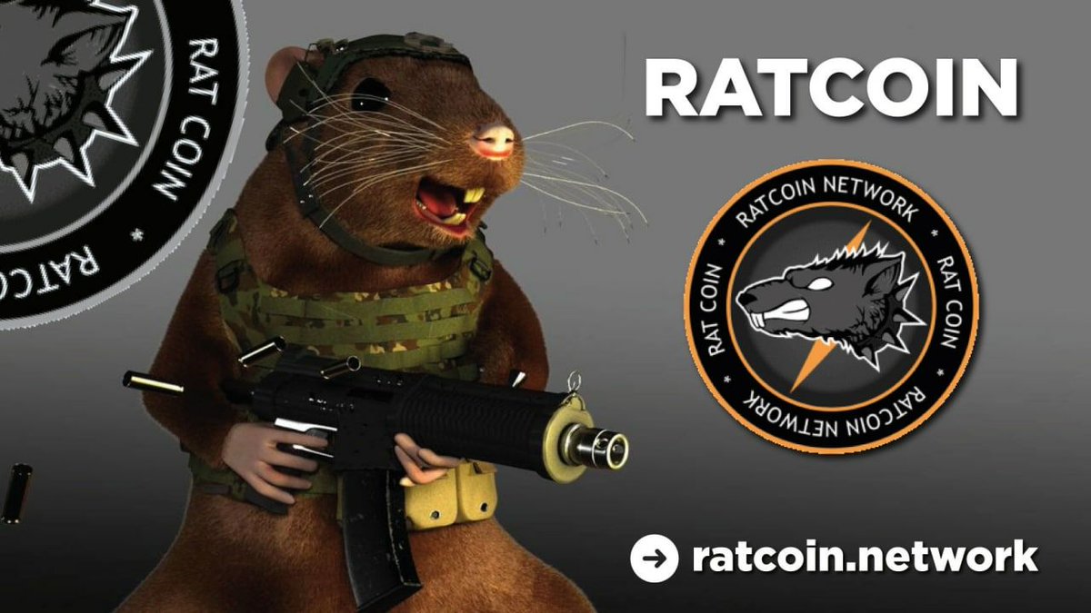 TheNEWguy714's tweet photo. @1goonrich Hell yeah!  #memecoins #cryptocurrecy https://t.co/SEKKuJIUT0