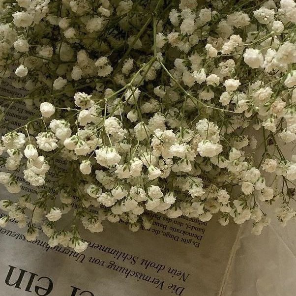 ‧₊˚ 🌾 inspo; fotos con tu pareja, amiga/o/e, etc ଓ . ∗ ̥

                            a thread by; 🦋