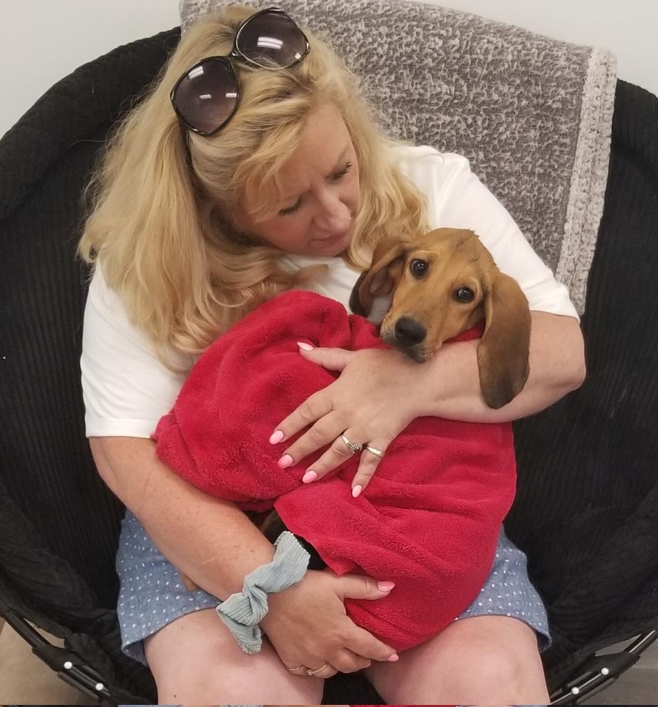 MarleyMud's tweet photo. 36 #RescueDogs on #RescueTransport this weekend from #Texas, #Louisiana, #Arkansas, and #Mississippi to #NewYork and #Maine! #adoptdontshop https://t.co/7B1YmmdRWa