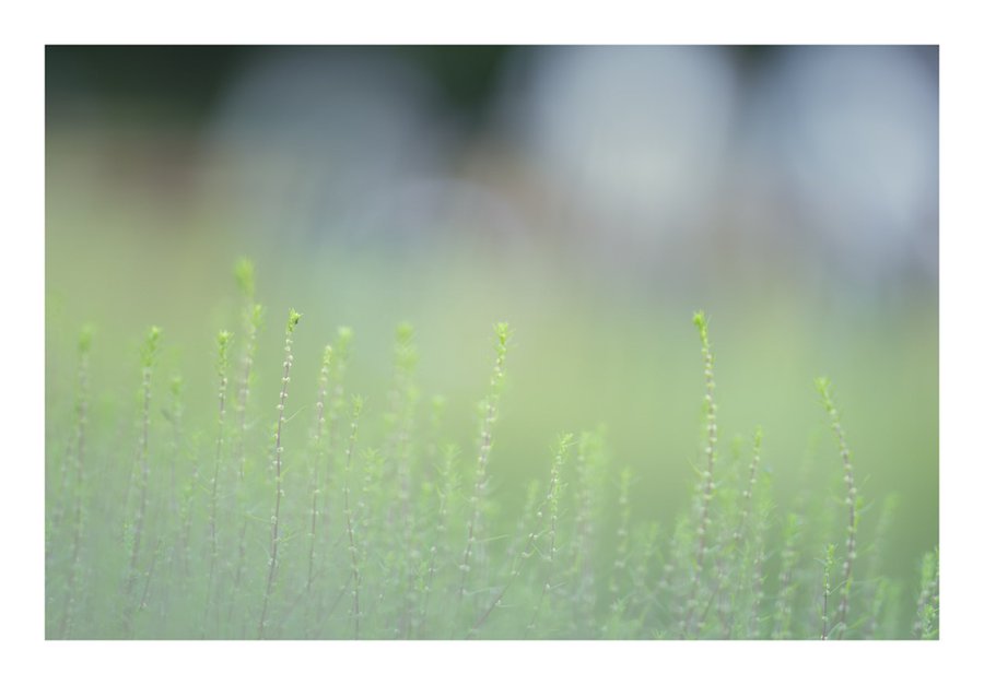 isumu.eth🌻NFTphotographer tweet media