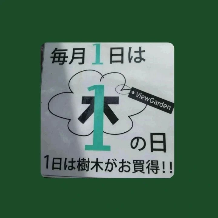 viewgarden2000's tweet photo. もう8月😳
光陰矢の如し
TimeFlies!
本日1日 木の日
庭木売り場の樹木20%off
鉢植えの樹木は今週50%off
お天気微妙ですが
ゆっくりお茶しにおいでください
ハイビスカストリカラー
可愛い🌺を付けました😍
#ビューガーデン #紫波ビューガーデン
#ViewGarden #viewgarden https://t.co/P8QZoaSL84