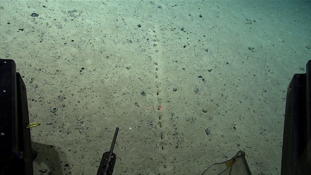latestinspace's tweet photo. NEWS🚨: NOAA has discovered a series of mysterious “perfectly aligned” alien-like holes punched into the seafloor roughly 1.6 miles (2.6 km) beneath the ocean surface https://t.co/EYCI8AeAj5