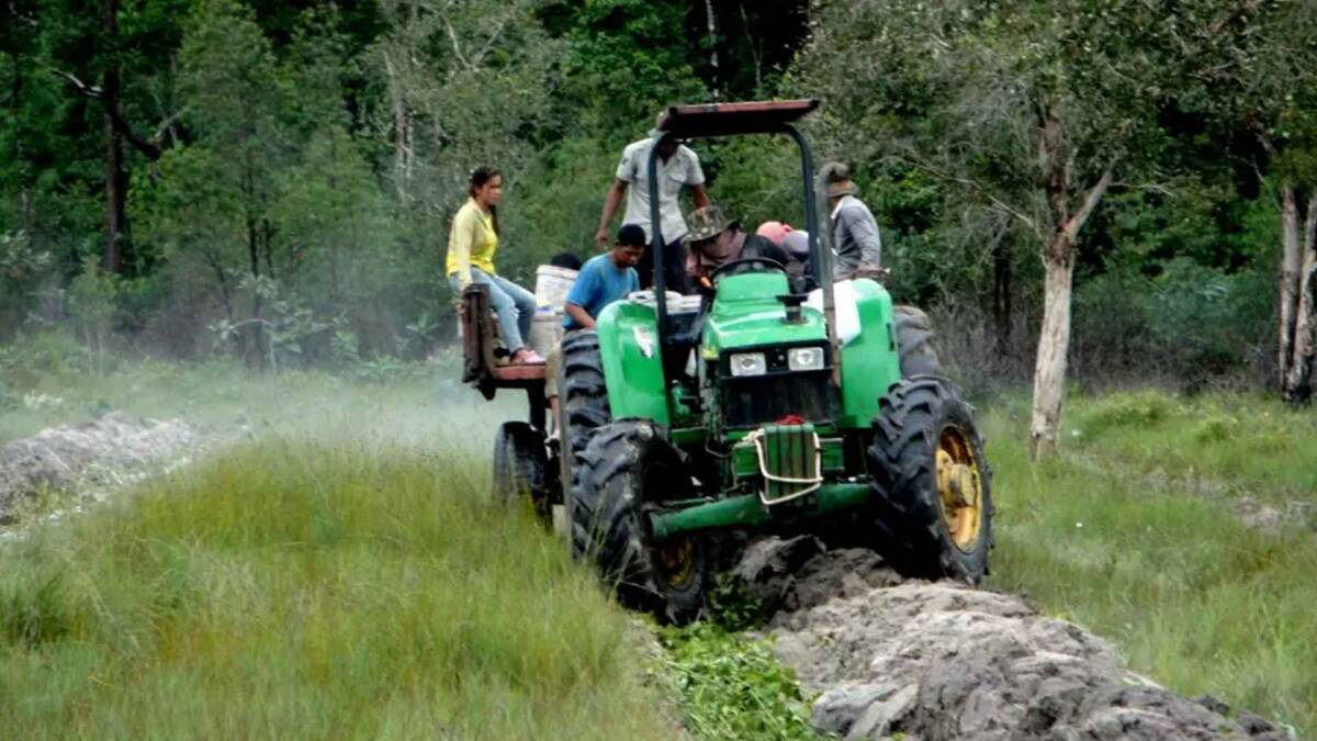 Dr. Suwanna Gauntlett tweet media