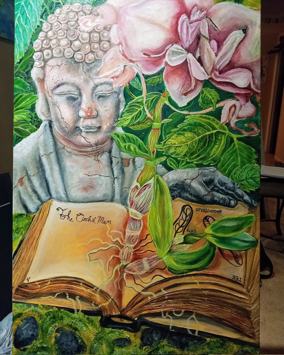 15 America's Next Top Model Winners ideas | america's next top model, next  top model, antm, image size:960x1200