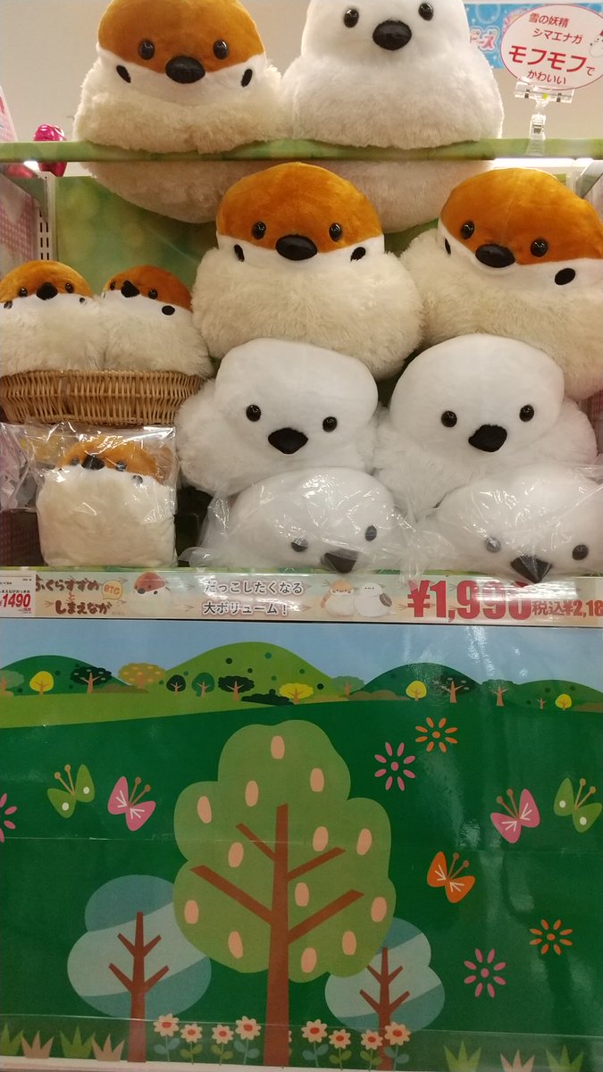 アピタン にかわいいお友だちができました🥰 白くてフワフワ 雪の妖精