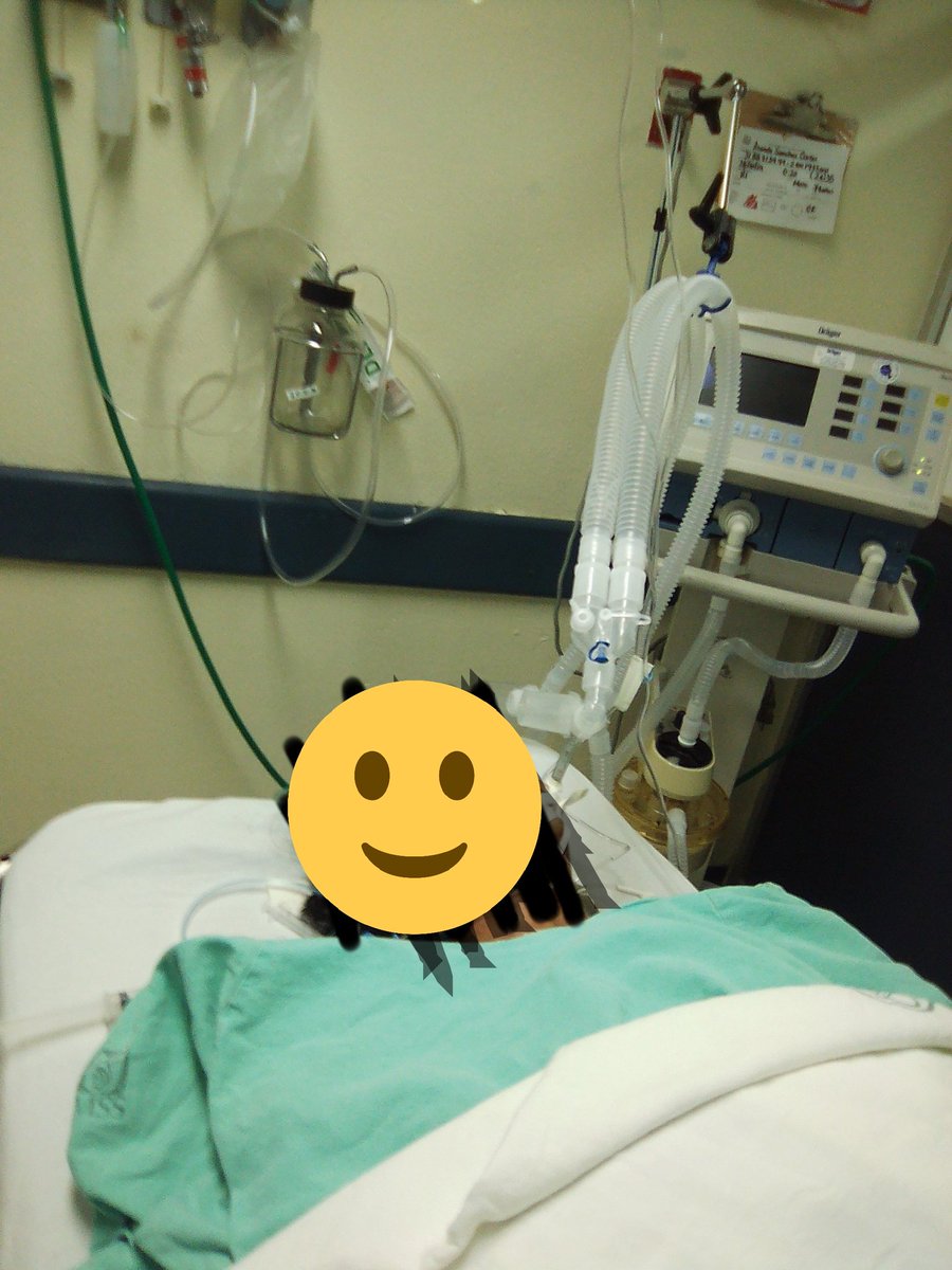 karencito171's tweet photo. Hola, soy Paula, soy hermana mayor de la dueña de esta cuenta(es army), hace un año perdimos muchas cosas a causa de la enfermedad de nuestros padres, del funeral de nuestra abuela, todo estaba mal, ni con todo lo que hacíamos podíamos con los gastos, 
#HobiPaloozalsComing https://t.co/Fp1i34k9Q7
